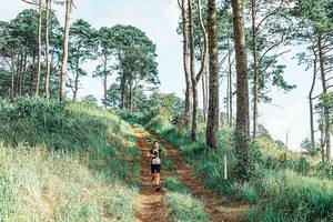 BIB: 
                            <button type="button" onclick="openModal(25653008)" class="btn btn-primary btn-sm float-right btn-popup" data-toggle="modal" data-target=".modal-high-quality">
                        <i class="fas fa-shopping-cart"></i> Add to Cart
                    </button>
                                            <button type="button" onclick="isThisMe(25653008, true)" class="btn btn-success btn-sm float-right btn-popup btn-isme hidden" data-toggle="tooltip" data-placement="bottom" title="นี่คือรูปของคุณใช่ไหม คลิกที่นี่เพื่อเอาเข้าอัลบั้ม">
                        <i class="fas fa-plus"></i> Add to album
                    </button>
                    <button type="button" onclick="isThisMe(25653008, false)" class="btn btn-warning btn-sm float-right btn-popup btn-isnotme hidden">
                        <i class="fas fa-ban"></i> Remove from album
                    </button>